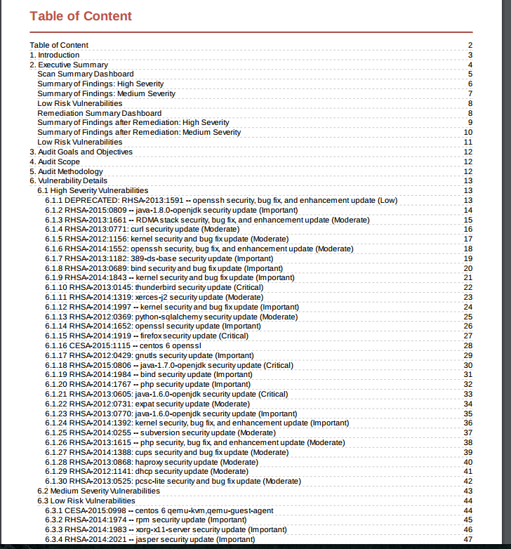 NopSec Cloud Scanner - Report Content