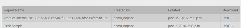 NopSec Cloud Scanner - Report Table