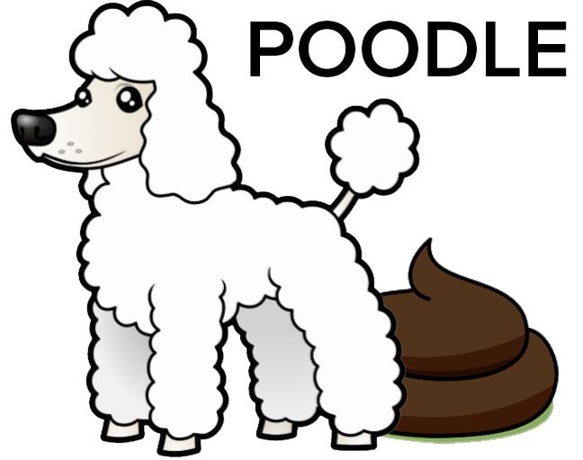 Poodle