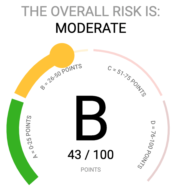 NopSec Risk Score Widget